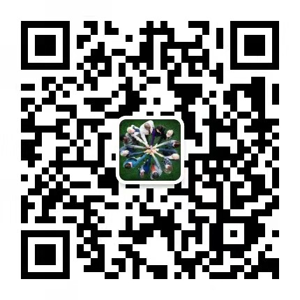 1531651052464521.jpg